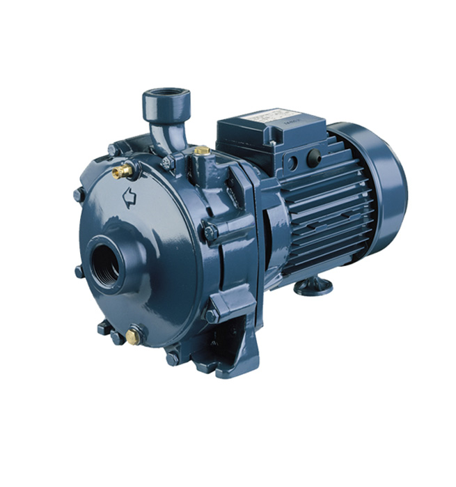 Double Impeller Cast Iron Pumps