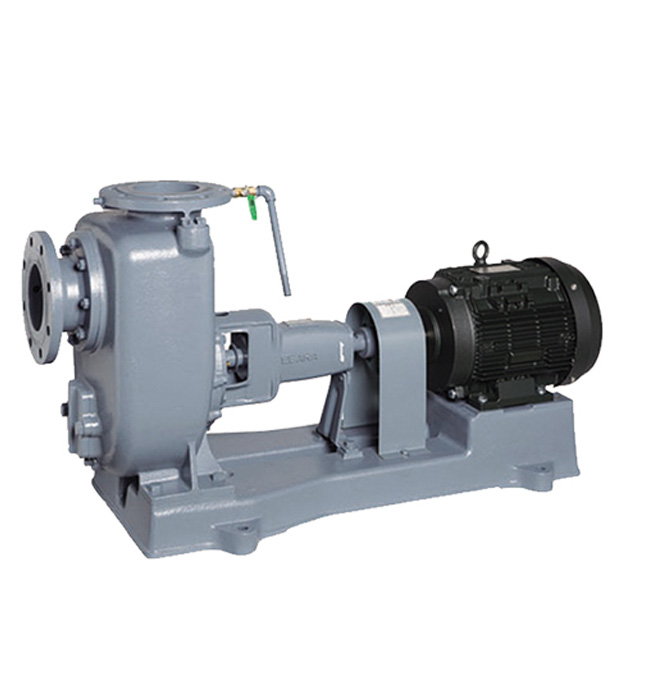 Self-Priming Cast Iron Pumps