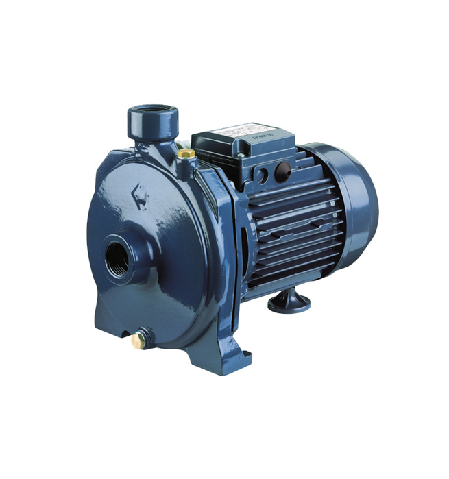 Single Impeller Cast Iron Pumps